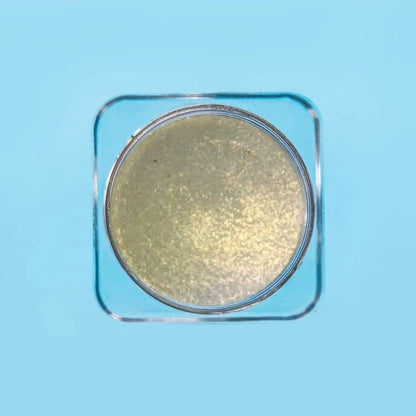 Opera Professional Highlighter | 10 Shades – Golden Radiance