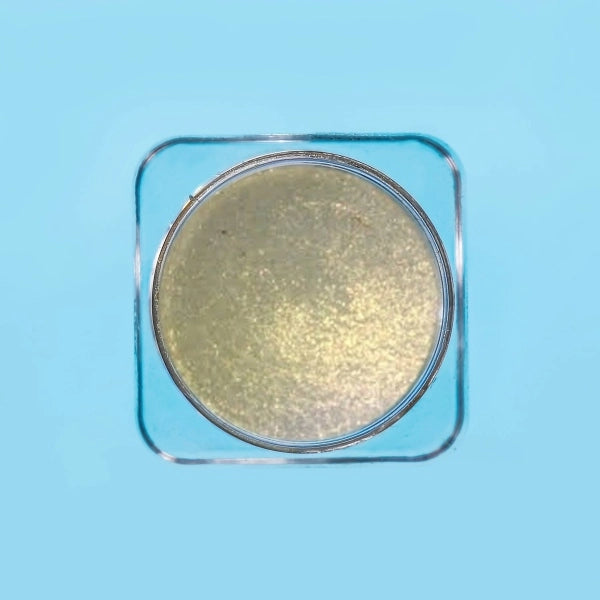 Opera Highlighter Box | 10 Shades – Opulent Radiance