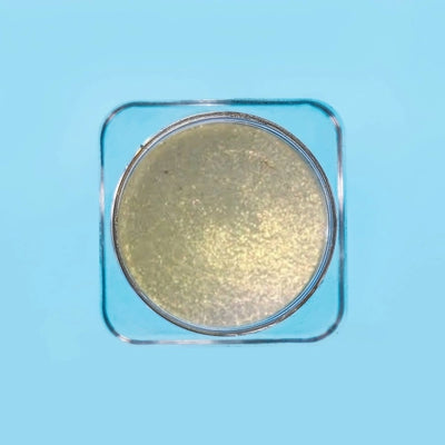 Opera Highlighter Box | 10 Shades – Opulent Radiance